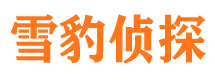 延寿侦探公司